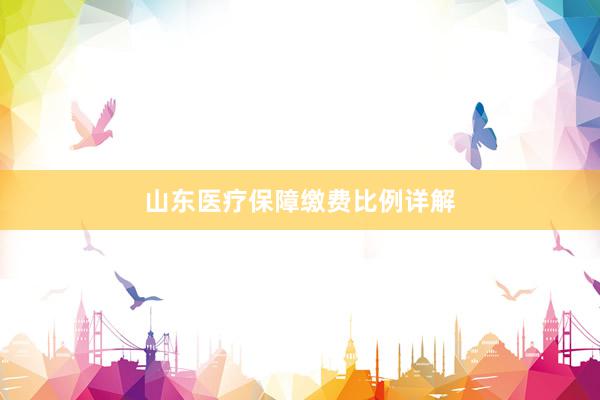 山东医疗保障缴费比例详解