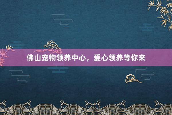 佛山宠物领养中心，爱心领养等你来